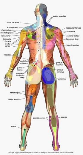 Triggerpoint Therapie